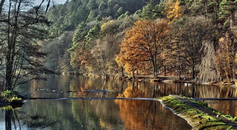 forelvijver ardennen|Vissen in de Ardennen